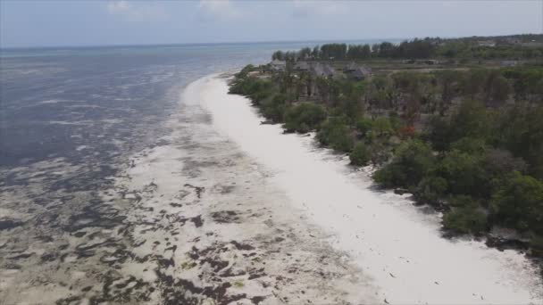 このストックビデオは ザンジバル タンザニア 8K解像度のスローモーションの海岸沖の低潮位の空中ビューを示しています — ストック動画