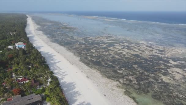 Video Tanzanya Zanzibar Açıklarındaki Okyanustaki Alçak Gelgitin Çözünürlükte Yavaş Çekimini — Stok video