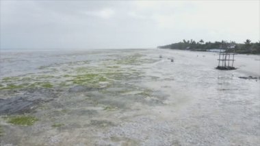 Bu video, Tanzanya, Zanzibar açıklarındaki okyanustaki alçak gelgitin 8K çözünürlükte yavaş çekimini gösteriyor.