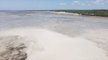 Bu video, Tanzanya, Zanzibar açıklarındaki okyanustaki alçak gelgitin 8K çözünürlükte yavaş çekimini gösteriyor.