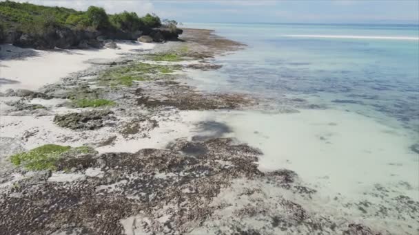 Deze Stockvideo Toont Vanuit Lucht Zicht Laagwater Oceaan Voor Kust — Stockvideo