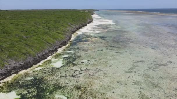 Ten Film Pokazuje Widok Lotu Ptaka Oceanie Wybrzeży Zanzibaru Tanzanii — Wideo stockowe