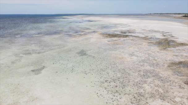 Відео Показує Повітряний Приплив Океані Біля Узбережжя Занзібару Танзанія Сповільнення — стокове відео