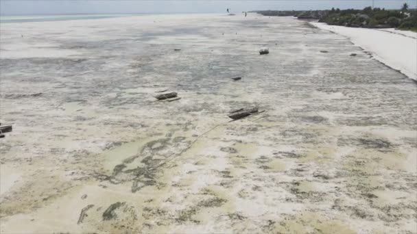 Stock Video Shows Aerial View Low Tide Ocean Coast Zanzibar — Videoclip de stoc
