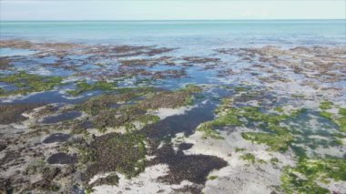 Bu video, Tanzanya, Zanzibar açıklarındaki okyanustaki alçak gelgitin 8K çözünürlükte yavaş çekimini gösteriyor.