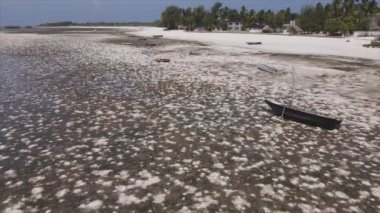 Bu video, Tanzanya, Zanzibar açıklarındaki okyanustaki alçak gelgitin 8K çözünürlükte yavaş çekimini gösteriyor.