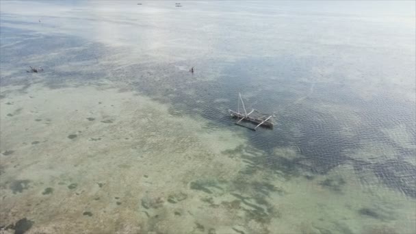 Stock Video Shows Aerial View Low Tide Ocean Coast Zanzibar — Vídeos de Stock