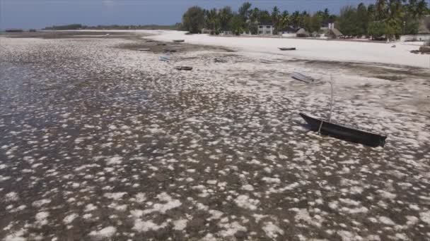 Denna Video Visar Flygbilder Lågvatten Havet Utanför Zanzibars Kust Tanzania — Stockvideo