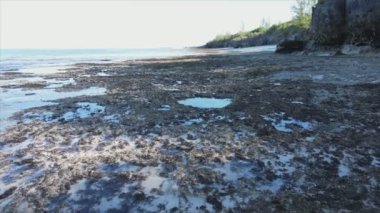 Bu video, Tanzanya, Zanzibar açıklarındaki okyanustaki alçak gelgitin 8K çözünürlükte yavaş çekimini gösteriyor.