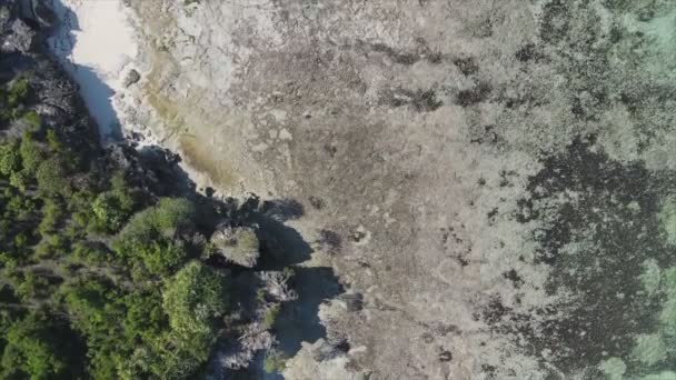 Видео Показывает Воздушный Вид Отлива Океане Побережья Занзибара Танзания Замедленное — стоковое видео