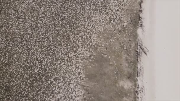 Stock Video Shows Aerial View Low Tide Ocean Coast Zanzibar — Stock Video