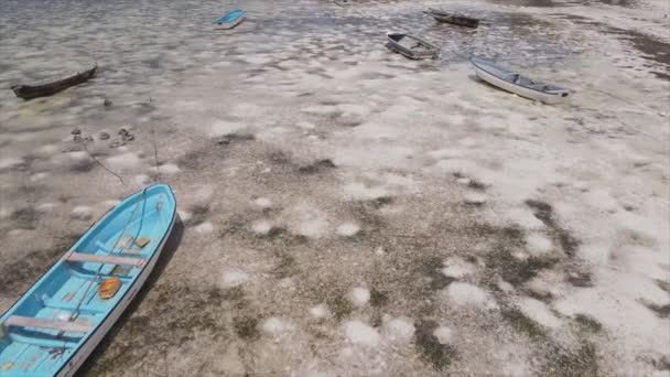 Відео Показує Повітряний Приплив Океані Біля Узбережжя Занзібару Танзанія Сповільнення — стокове відео