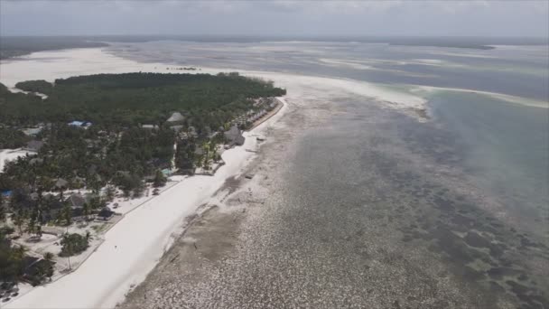 Stock Video Shows Aerial View Low Tide Ocean Coast Zanzibar — Vídeos de Stock