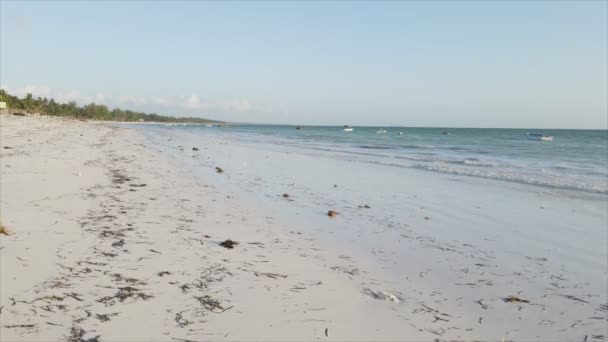 Denne Stock Video Viser Luftfoto Lavvande Havet Kysten Zanzibar Tanzania – Stock-video