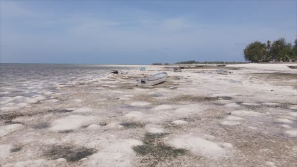 Stock Video Shows Aerial View Low Tide Ocean Coast Zanzibar — Stockvideo