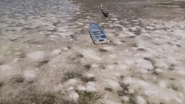 Stock Video Shows Aerial View Low Tide Ocean Coast Zanzibar — Stock Video