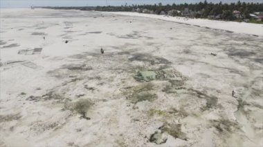 Bu video, Tanzanya, Zanzibar açıklarındaki okyanustaki alçak gelgitin 8K çözünürlükte yavaş çekimini gösteriyor.
