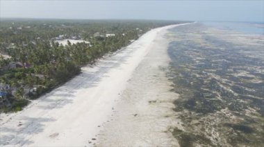 Bu video, Tanzanya, Zanzibar açıklarındaki okyanustaki alçak gelgitin 8K çözünürlükte yavaş çekimini gösteriyor.