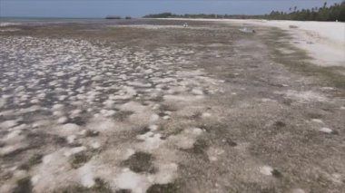 Bu video, Tanzanya, Zanzibar açıklarındaki okyanustaki alçak gelgitin 8K çözünürlükte yavaş çekimini gösteriyor.