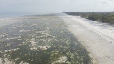 Bu video, Tanzanya, Zanzibar açıklarındaki okyanustaki alçak gelgitin 8K çözünürlükte yavaş çekimini gösteriyor.