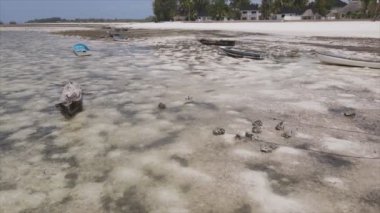 Bu video, Tanzanya, Zanzibar açıklarındaki okyanustaki alçak gelgitin 8K çözünürlükte yavaş çekimini gösteriyor.