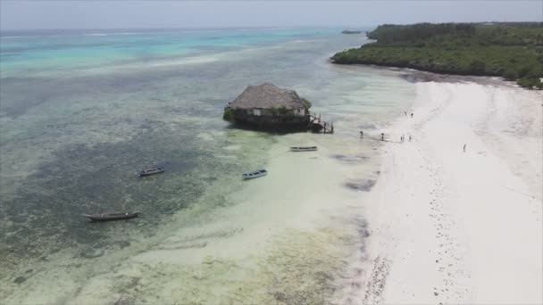 Ten Film Przedstawia Widok Lotu Ptaka Szczudłach Oceanie Wybrzeżu Zanzibaru — Wideo stockowe