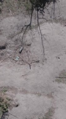 Bu stok dikey video Ukrayna 'daki yok olmuş askeri teçhizatın havadan görüntüsünü gösteriyor, gri, renksiz, düz.