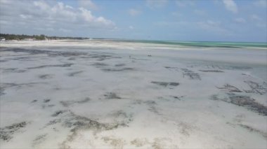 Bu stok videosu 8K çözünürlüklü, Tanzanya 'nın Zanzibar kıyısındaki okyanus manzarasını gösteriyor.