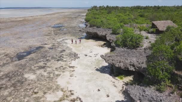 Stock Video Shows Aerial View Ocean Coast Zanzibar Tanzania Slow — Stockvideo