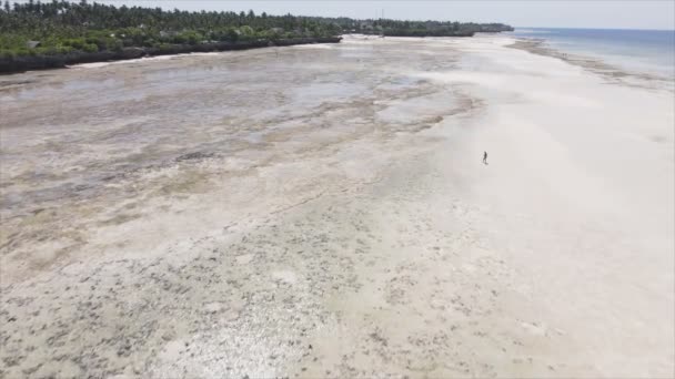 Stock Video Shows Aerial View Ocean Coast Zanzibar Tanzania Slow — Stock Video