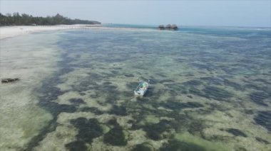 Bu stok videosu 8K çözünürlüklü, Tanzanya 'nın Zanzibar kıyısındaki okyanus manzarasını gösteriyor.