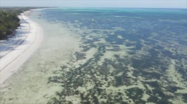 Bu stok videosu 8K çözünürlüklü, Tanzanya 'nın Zanzibar kıyısındaki okyanus manzarasını gösteriyor.