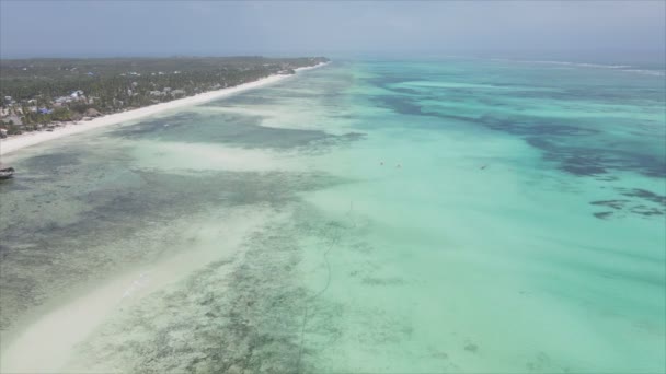 Stock Video Shows Aerial View Ocean Coast Zanzibar Tanzania Slow — Video