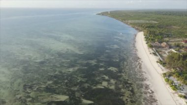 Bu stok videosu 8K çözünürlüklü, Tanzanya 'nın Zanzibar kıyısındaki okyanus manzarasını gösteriyor.