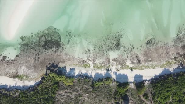 Stock Video Shows Aerial View Ocean Coast Zanzibar Tanzania Slow — стоковое видео