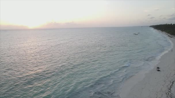 Stock Video Shows Aerial View Ocean Coast Zanzibar Tanzania Slow — 图库视频影像