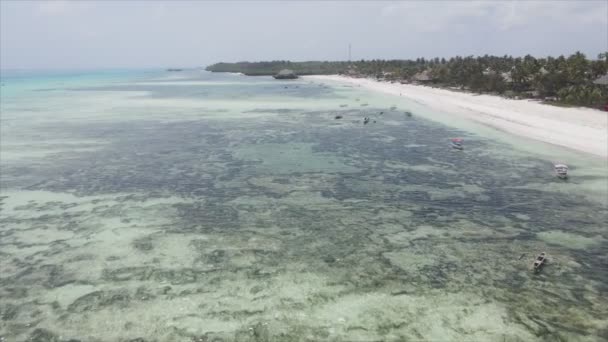 Stock Video Shows Aerial View Ocean Coast Zanzibar Tanzania Slow — Vídeos de Stock