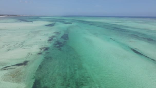 Stock Video Shows Aerial View Ocean Coast Zanzibar Tanzania Slow — ストック動画