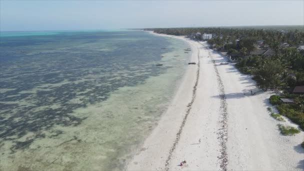 Nagranie Pokazuje Widok Lotu Ptaka Ocean Wybrzeży Zanzibaru Tanzanii Powolny — Wideo stockowe