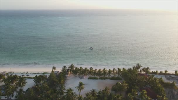 Stock Video Shows Aerial View Ocean Coast Zanzibar Tanzania Slow — Stock video