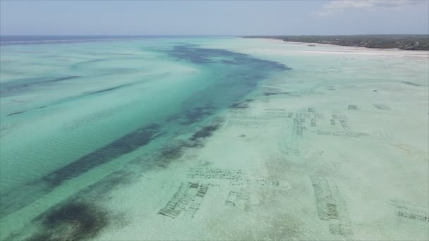 Stock Video Shows Aerial View Ocean Coast Zanzibar Tanzania Slow — Vídeo de stock