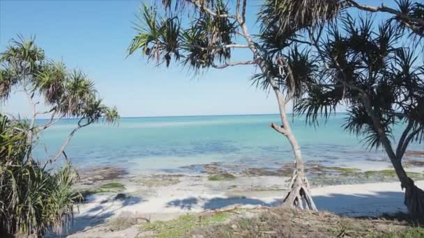 Nagranie Pokazuje Widok Lotu Ptaka Ocean Wybrzeży Zanzibaru Tanzanii Powolny — Wideo stockowe