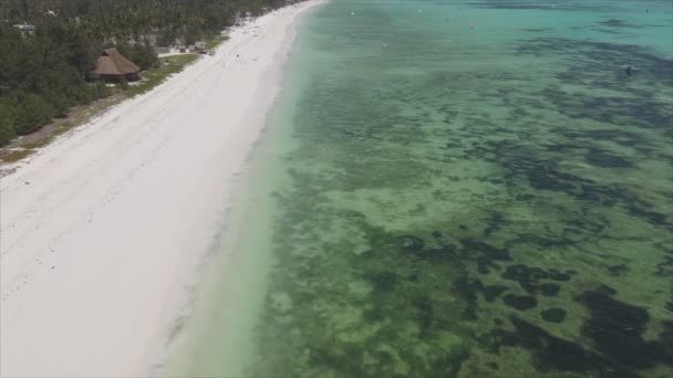 Stock Video Shows Aerial View Ocean Coast Zanzibar Tanzania Slow — Vídeo de stock