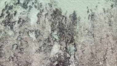 Bu stok videosu 8K çözünürlüklü, Tanzanya 'nın Zanzibar kıyısındaki okyanus manzarasını gösteriyor.