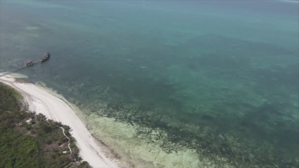 Cette Vidéo Montre Une Vue Aérienne Océan Près Côte Zanzibar — Video