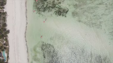 Bu stok videosu 8K çözünürlüklü, Tanzanya 'nın Zanzibar kıyısındaki okyanus manzarasını gösteriyor.