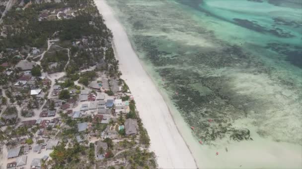 Stock Video Shows Aerial View Ocean Coast Zanzibar Tanzania Slow — Stock video
