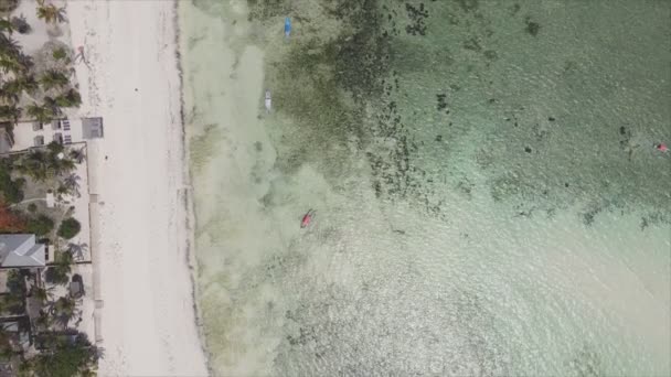 Stock Video Shows Aerial View Ocean Coast Zanzibar Tanzania Slow — Vídeos de Stock