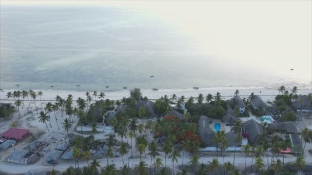 Stock Video Shows Aerial View Ocean Coast Zanzibar Tanzania Slow — Video Stock