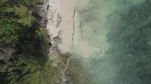 Stock Video Shows Aerial View Ocean Coast Zanzibar Tanzania Slow — 비디오